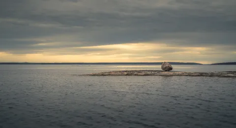 Saimaa